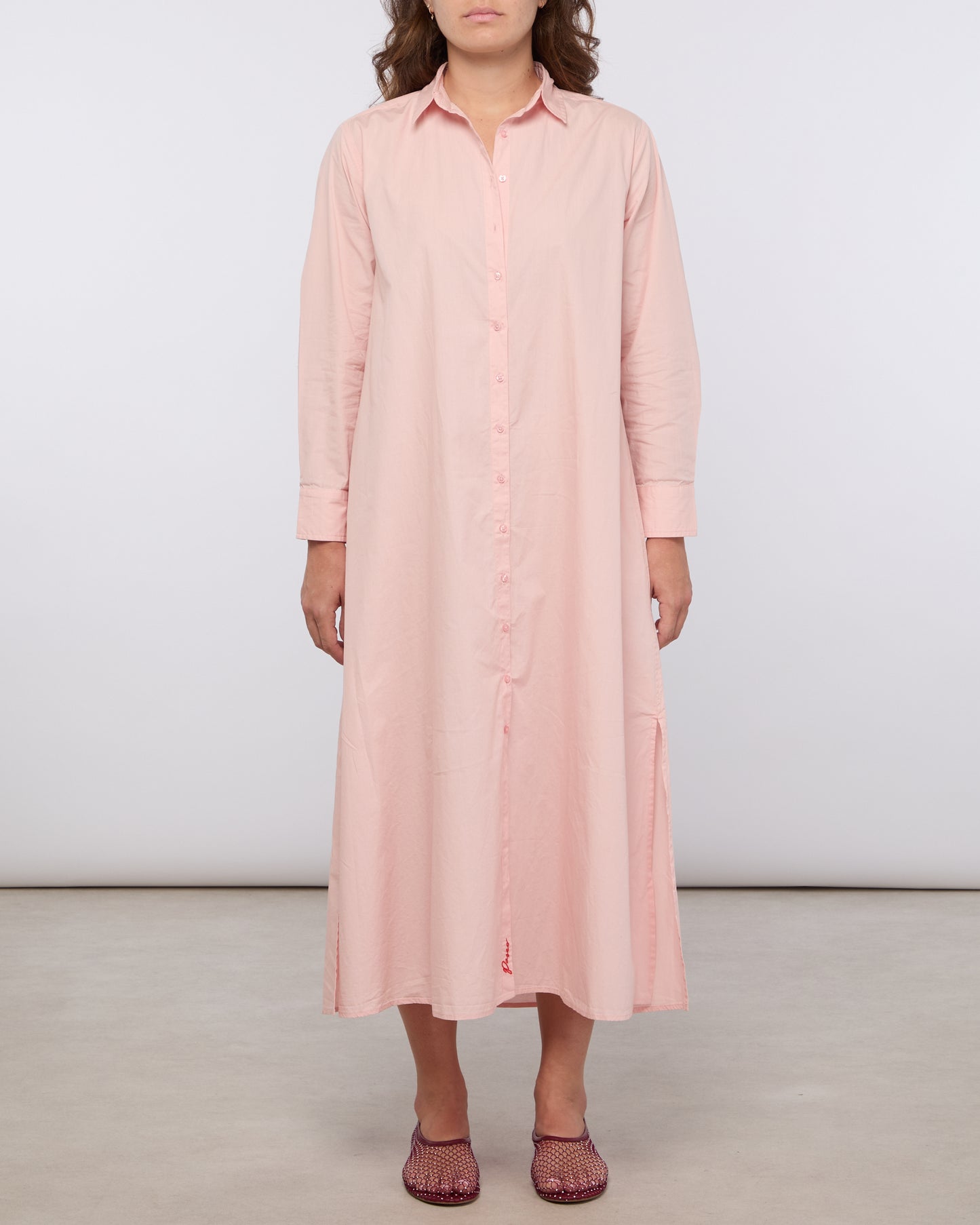 Rose F DW003 1