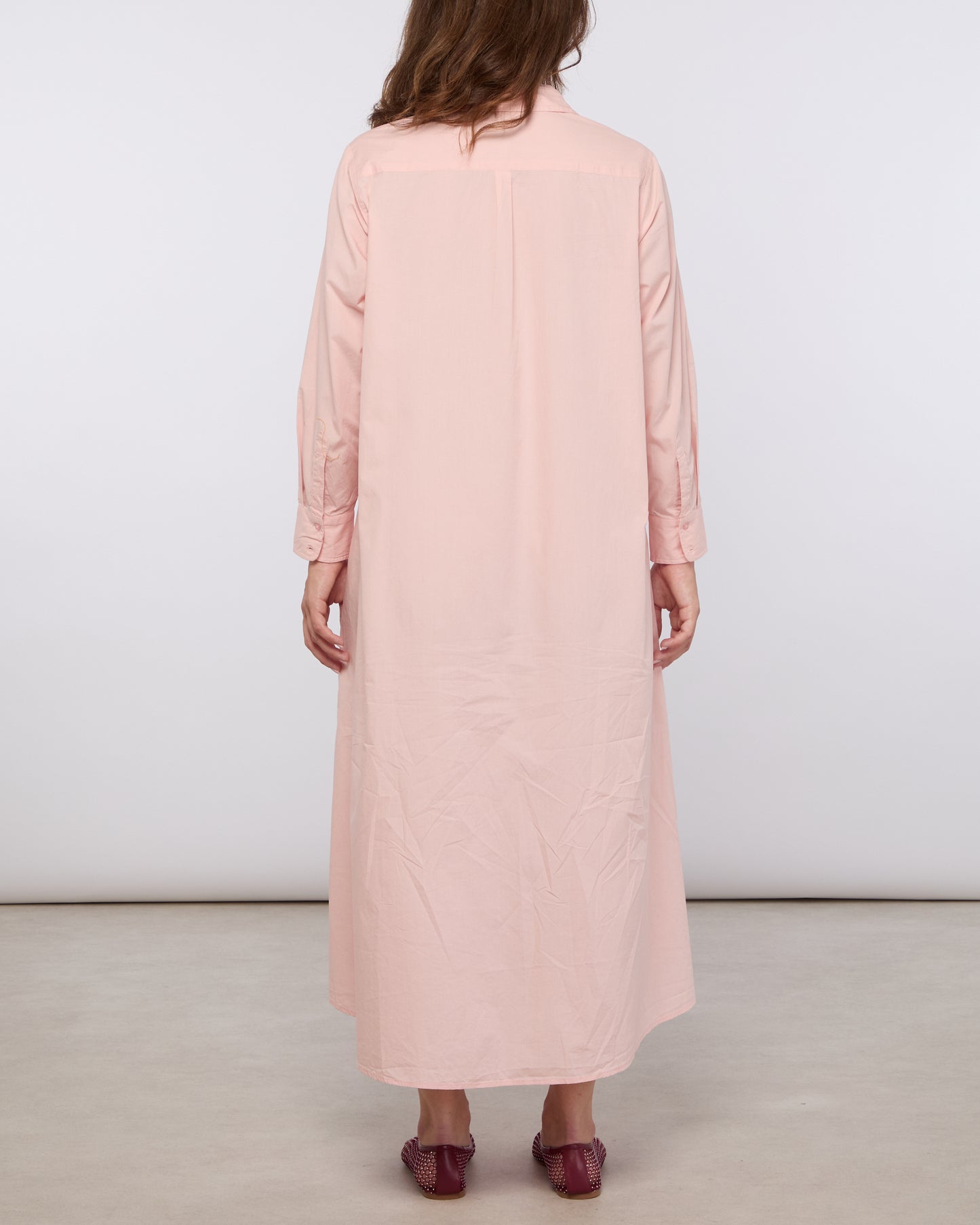Rose F DW003 2