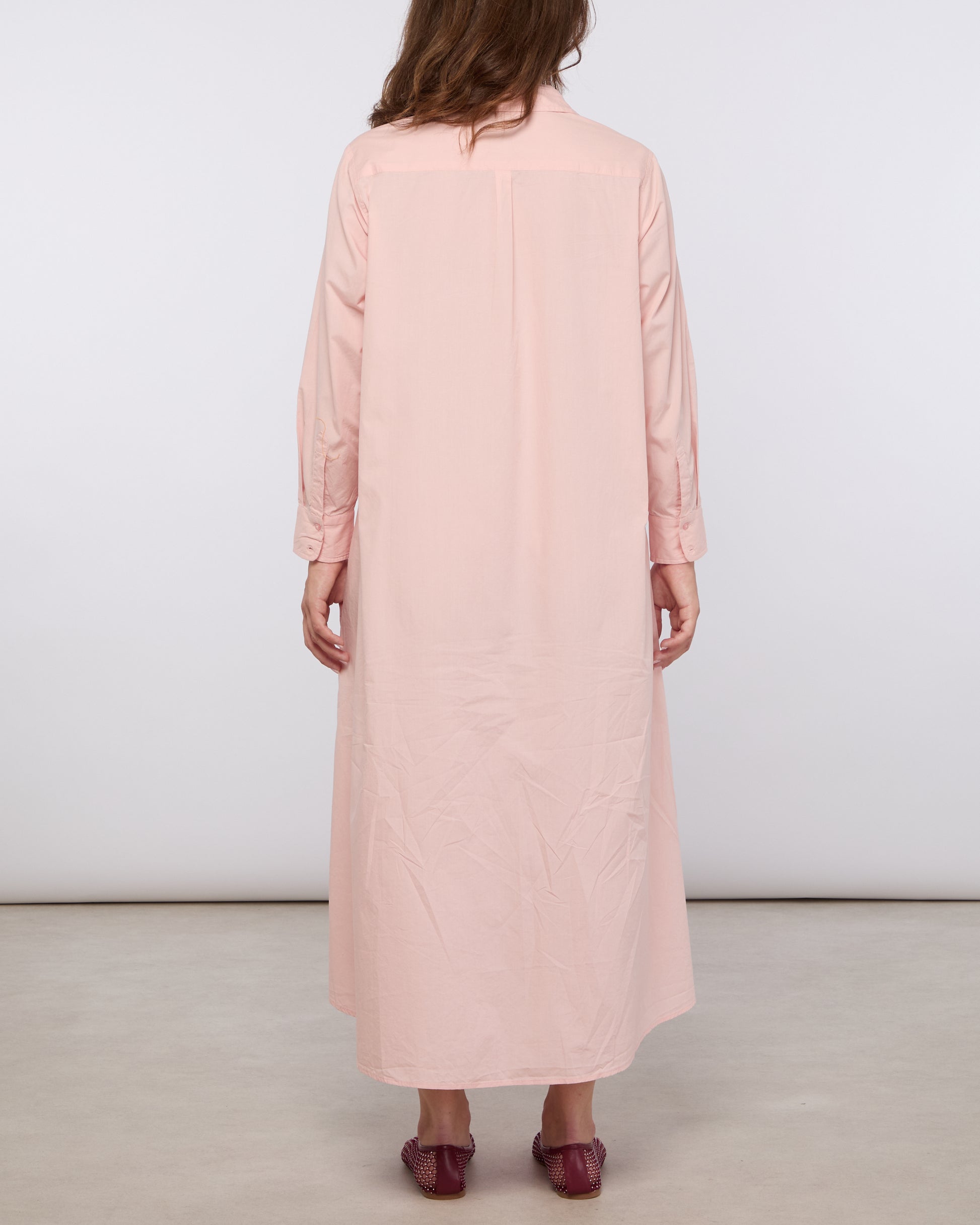 Rose F DW003 2