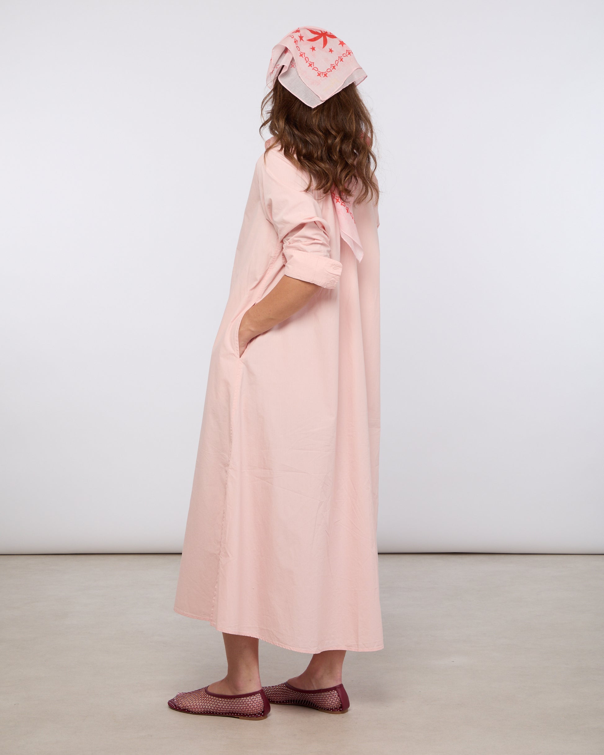 Rose F DW003 3