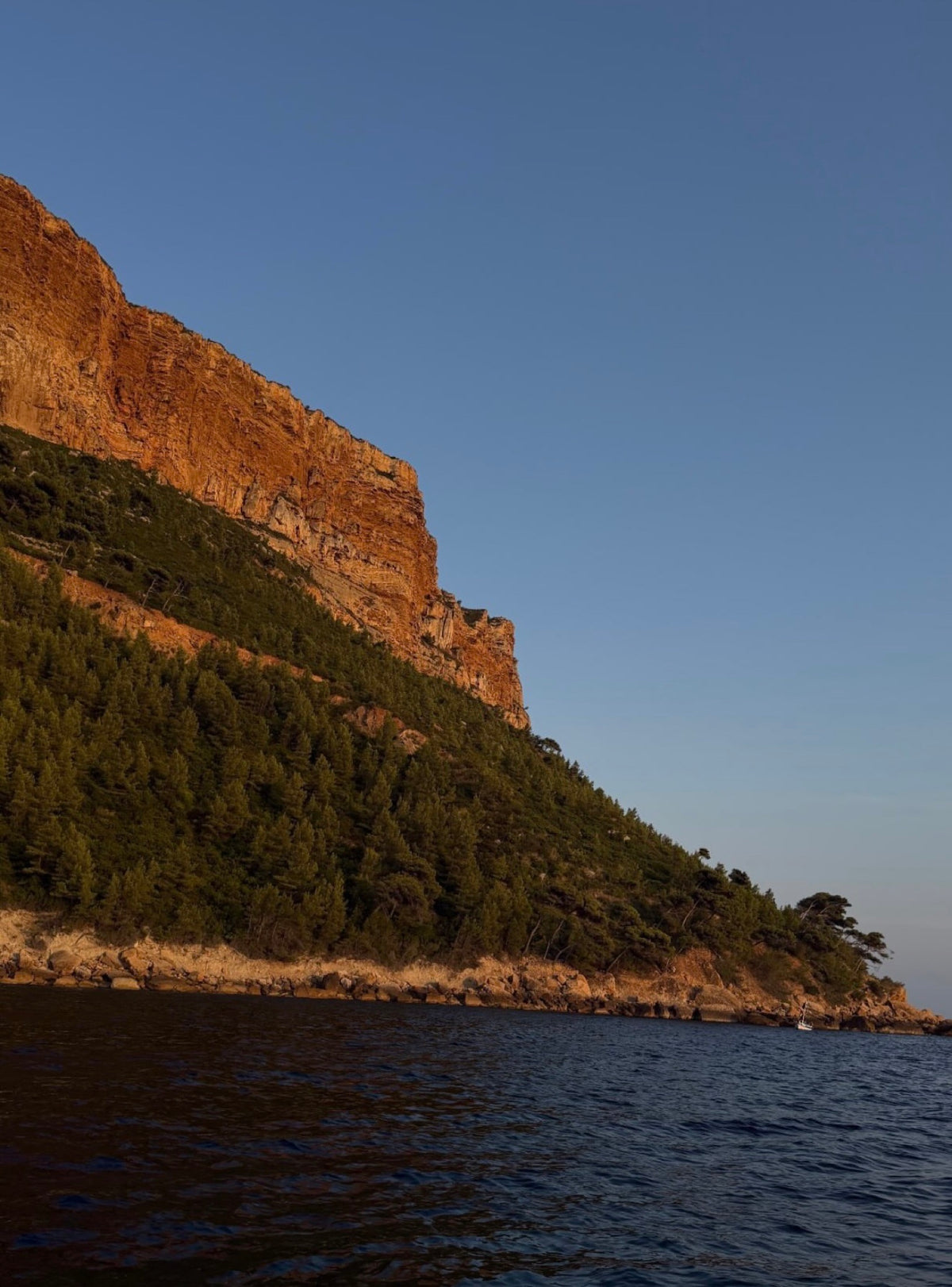 Nos racines, c'est la Méditerranée.